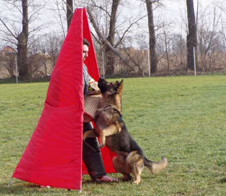 P1010034.jpg