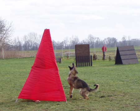 P1010039.jpg